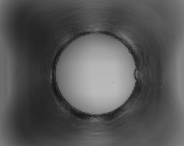 X0000097480115200802220828