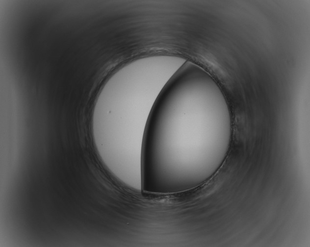 X0000097480116200802220828