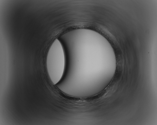 X0000097480119200802220828