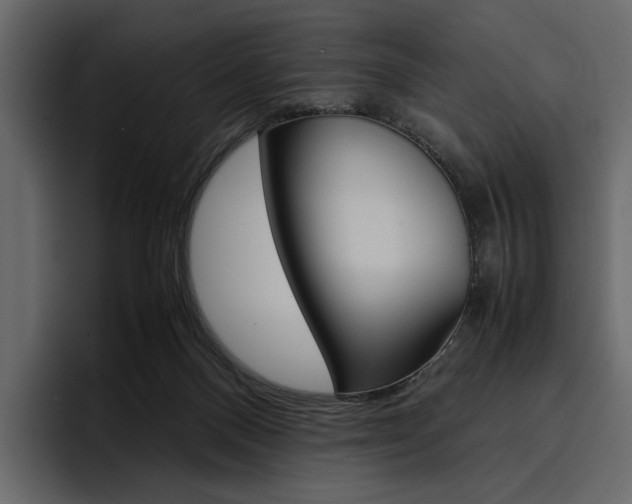X0000097480120200802220828