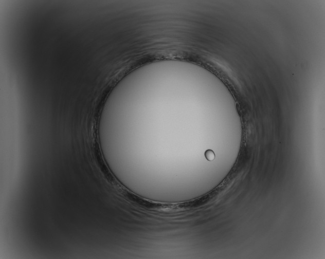 X0000097480121200802220828