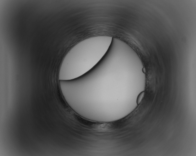 X0000097480122200802220828