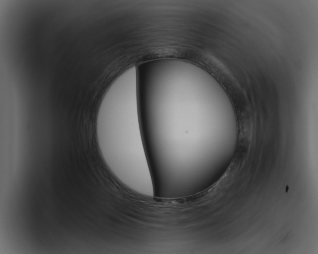 X0000097480124200802220828