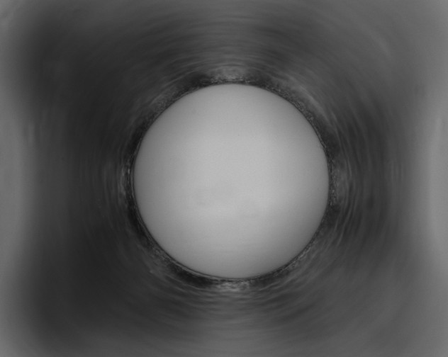 X0000097480126200802220828