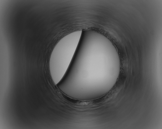 X0000097480129200802220828