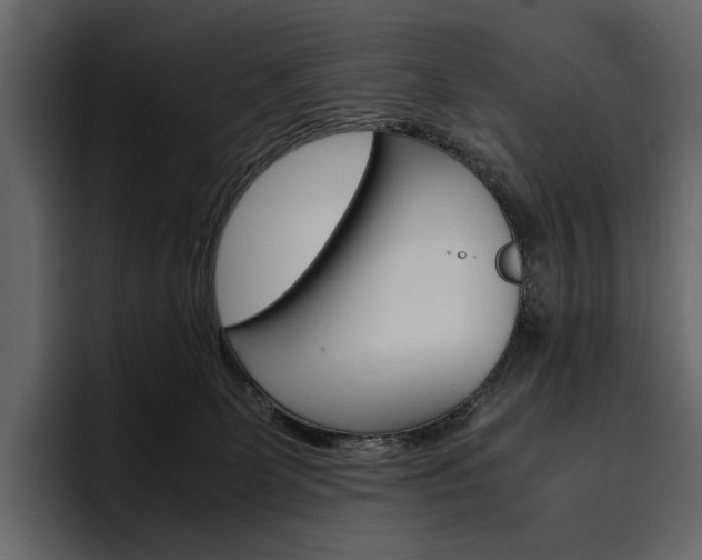 X0000097480131200802220828