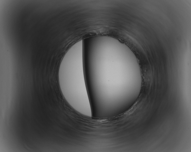 X0000097480132200802220828