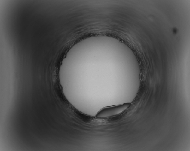 X0000097480133200802220828