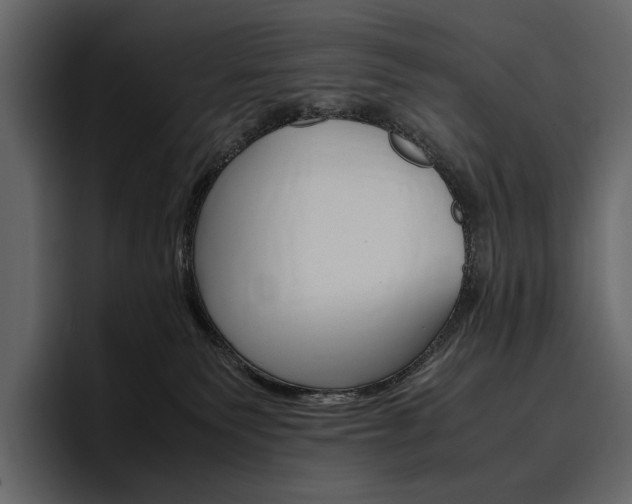 X0000097480135200802220828