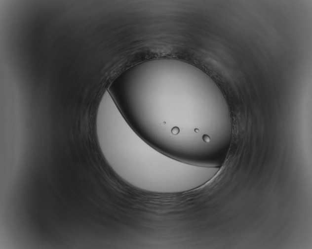 X0000097480136200802220828