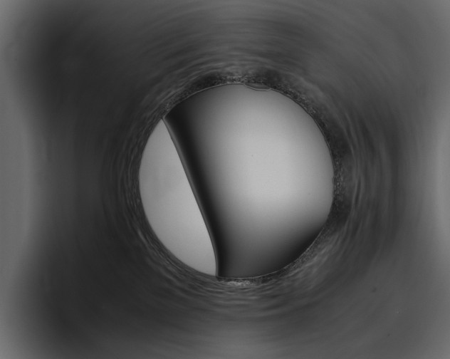 X0000097480137200802220828