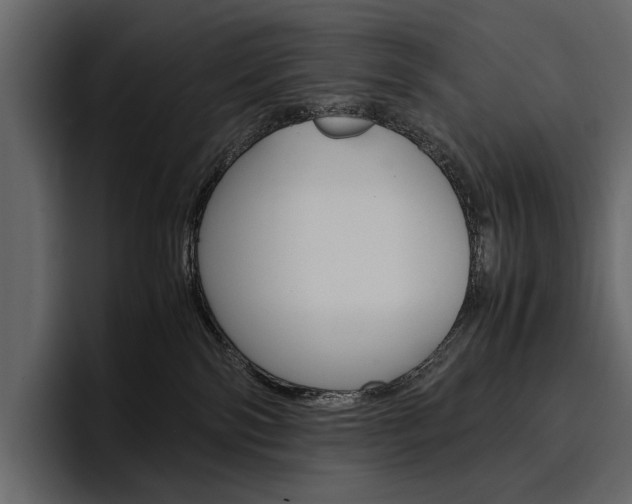 X0000097480138200802220828