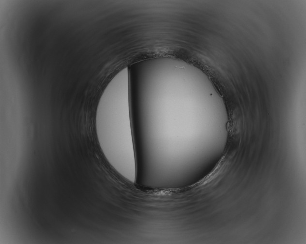 X0000097480140200802220828