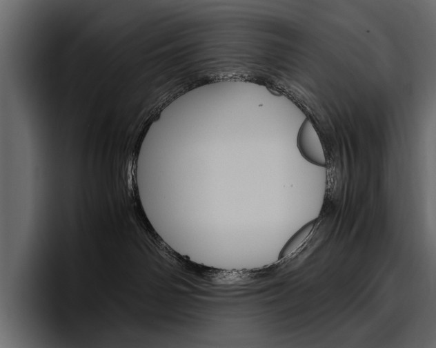 X0000097480142200802220828