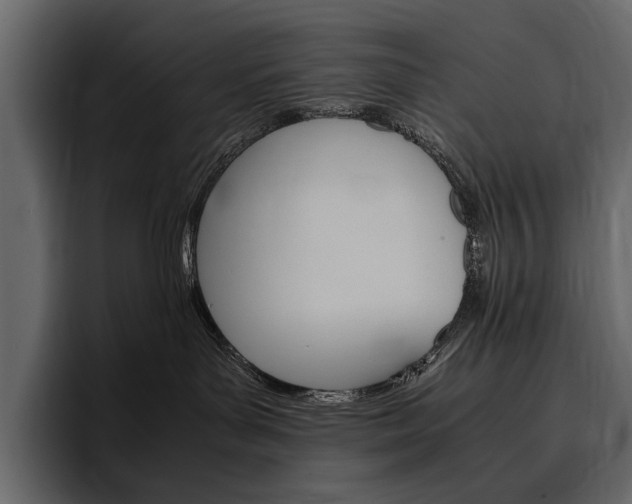 X0000097480143200802220828