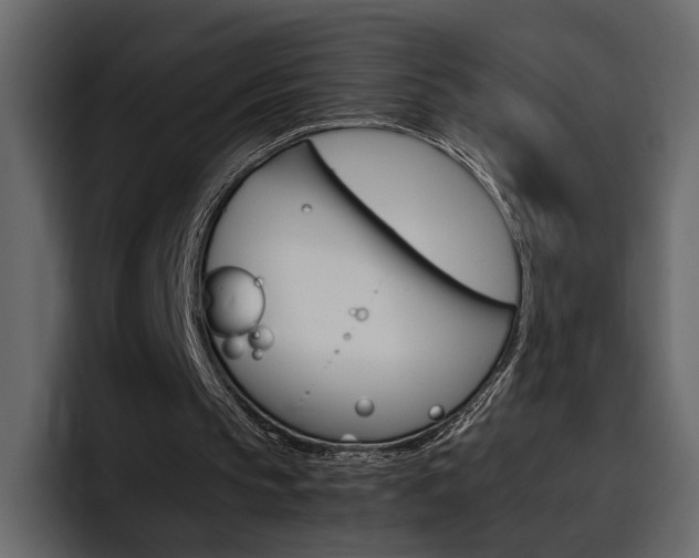 X0000097480145200802220827