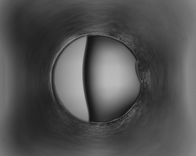 X0000097480148200802220827