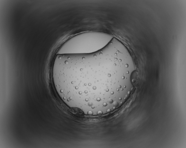 X0000097480149200802220827