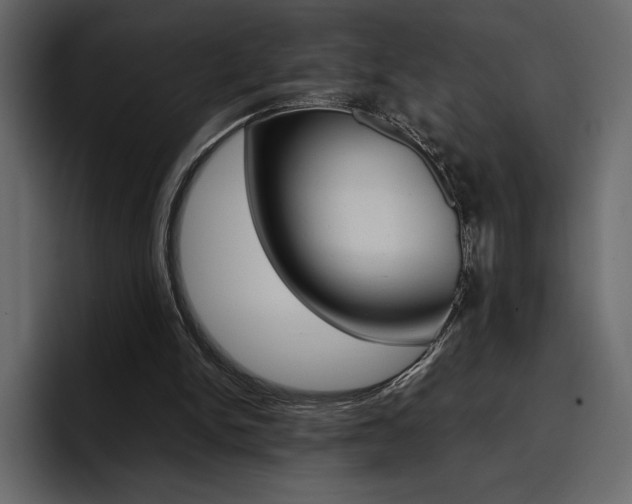 X0000097480150200802220827