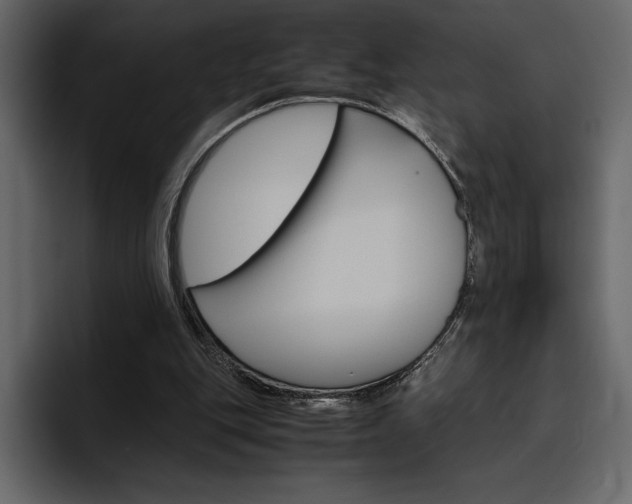 X0000097480151200802220827