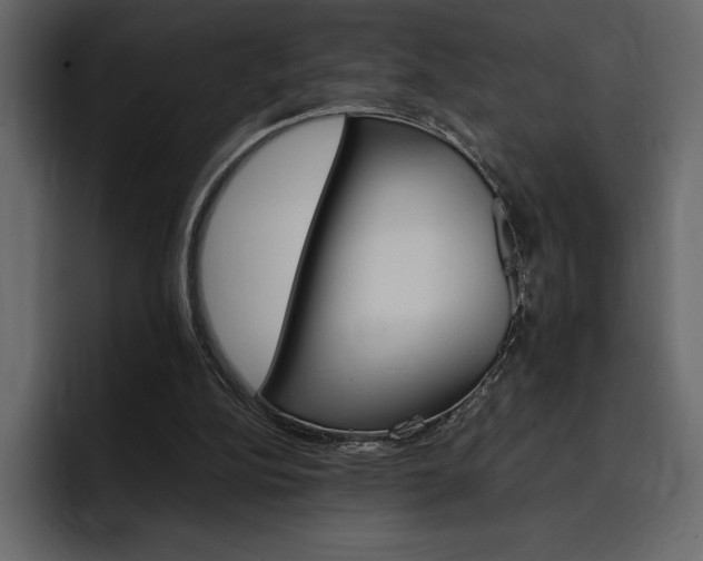 X0000097480152200802220827