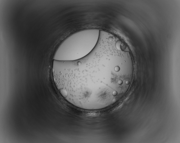 X0000097480153200802220827