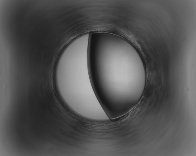 X0000097480154200802220827