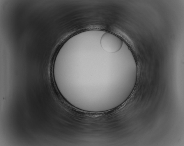 X0000097480155200802220827