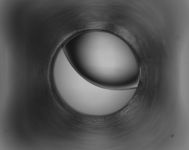 X0000097480156200802220827