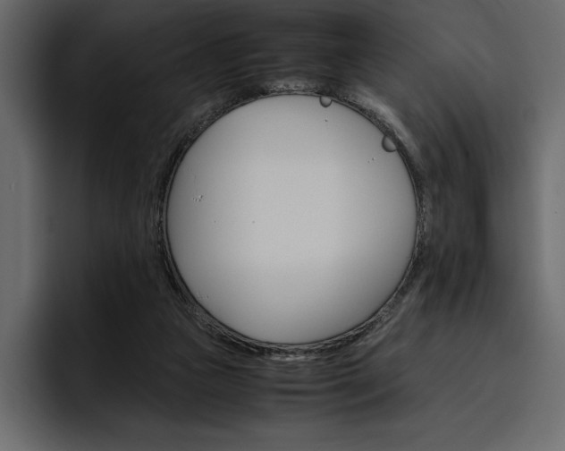 X0000097480161200802220827