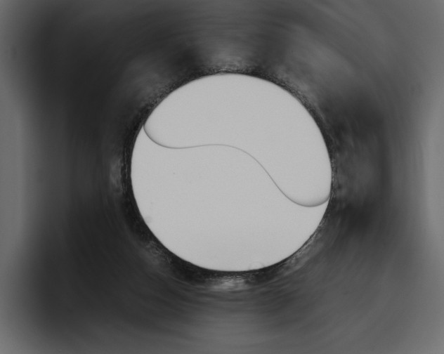 X0000097480162200802220827