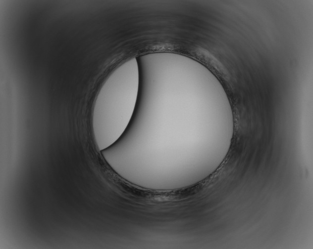 X0000097480163200802220827