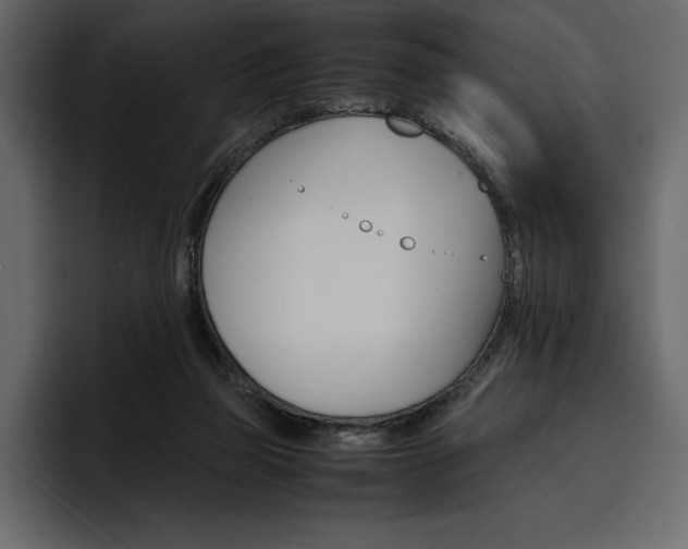 X0000097480165200802220827