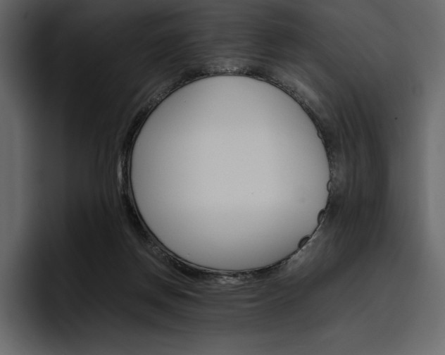 X0000097480166200802220828