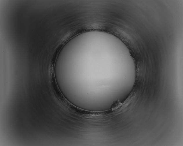 X0000097480168200802220828