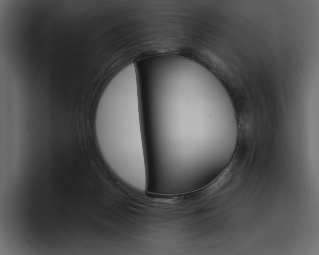 X0000097480170200802220828