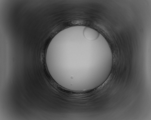 X0000097480171200802220828