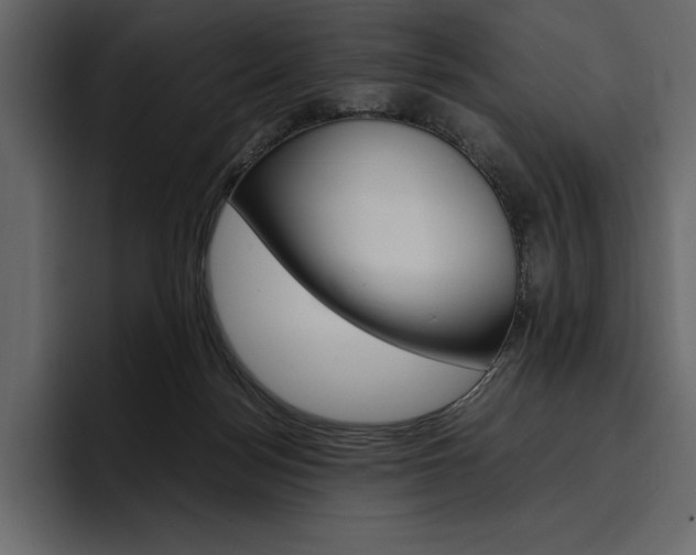 X0000097480172200802220828