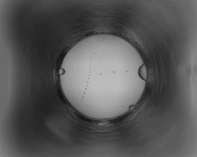 X0000097480173200802220828