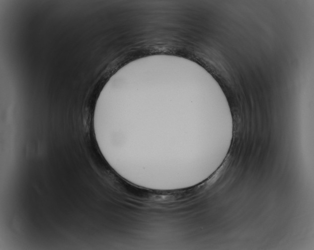 X0000097480174200802220828