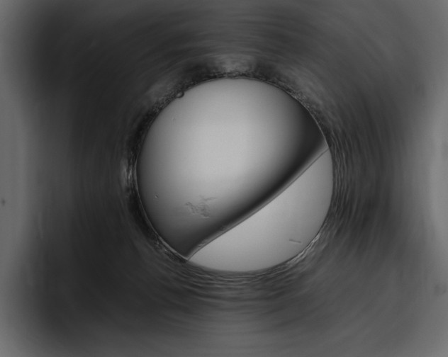 X0000097480176200802220828
