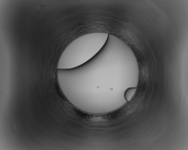 X0000097480177200802220828