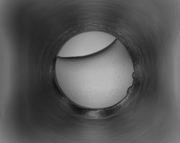 X0000097480178200802220828