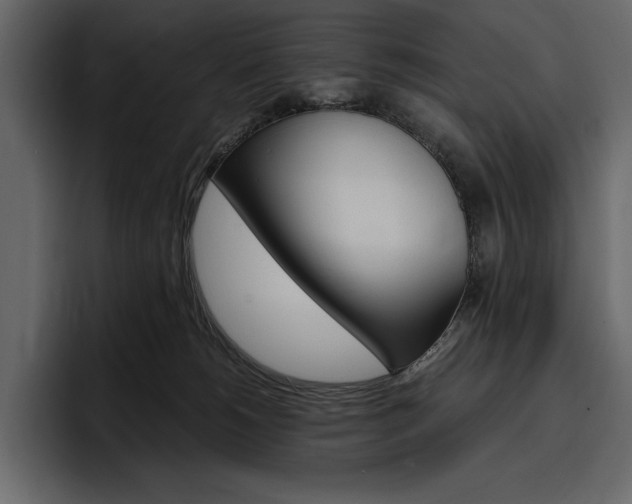 X0000097480180200802220828