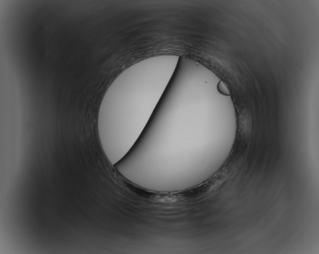 X0000097480181200802220828
