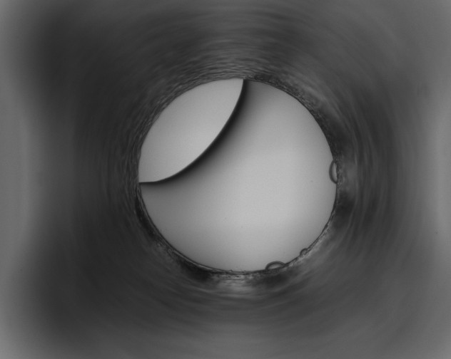 X0000097480182200802220828