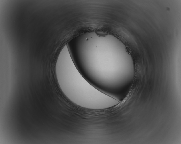 X0000097480184200802220828