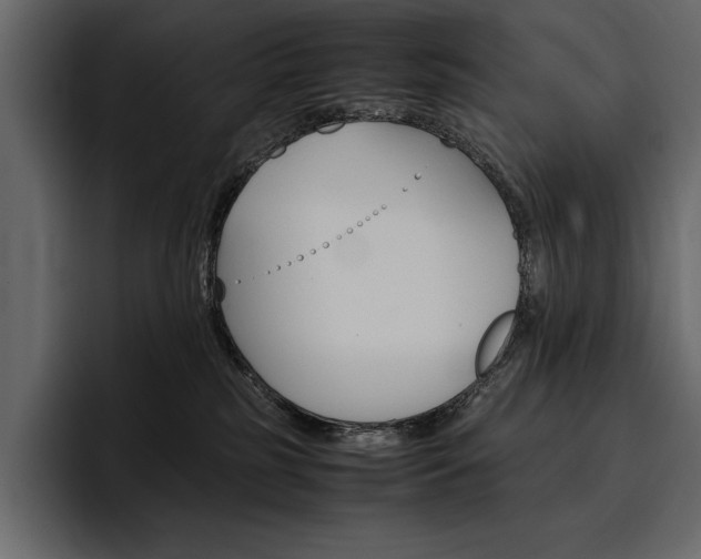 X0000097480185200802220828
