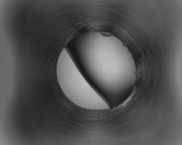 X0000097480186200802220828