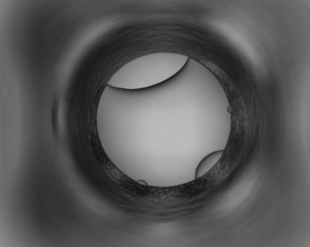 X0000097480189200802220828